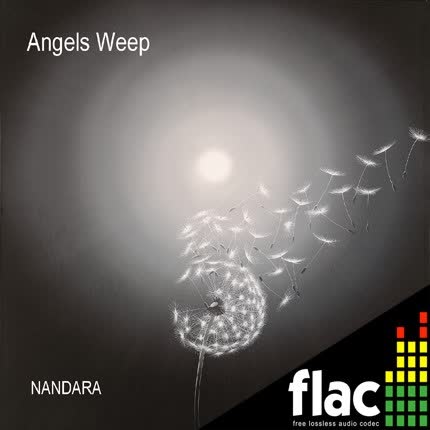 Carátula NANDARA - Angels Weep