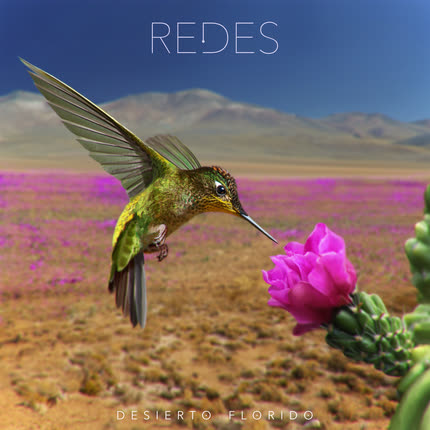 Carátula REDES - Desierto Florido