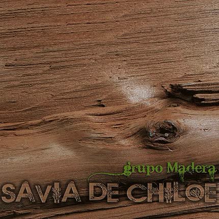 Carátula GRUPO MADERA - Savia de Chiloé