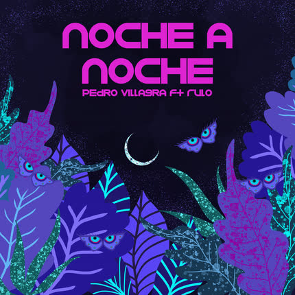 Carátula PEDRO VILLAGRA - Noche a Noche (feat. Rulo)