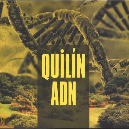Carátula QUILIN - Quilín ADN