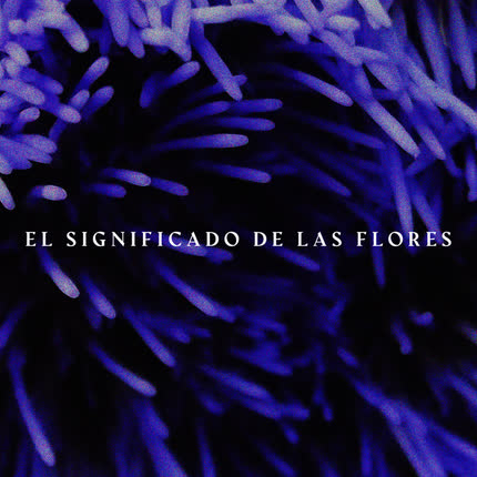 Carátula EL SIGNIFICADO DE LAS FLORES - El Significado de las Flores (Demo)