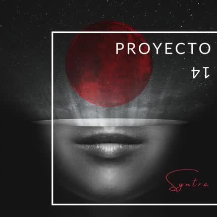 Carátula SYNTRA SOLISTA - Proyecto 14
