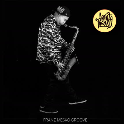 Carátula FRANZ MESKO - Franz Mesko Groove