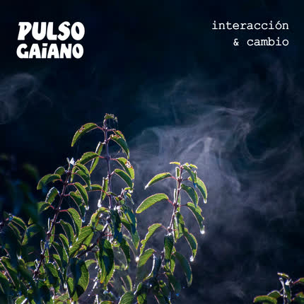 Carátula PULSO GAIANO - Interacción y Cambio
