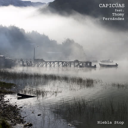 Carátula CAPICUAS - Niebla Stop