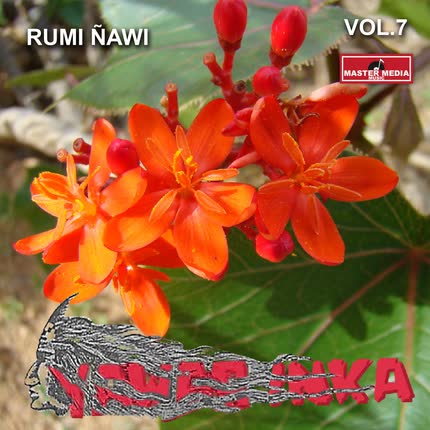 Carátula YAWAR INKA - Yawar Inka Rumi Ñawi (Vol. 7)
