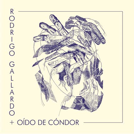 Carátula OIDO DE CONDOR & RODRIGO GALLARDO - Festejo del Cóndor