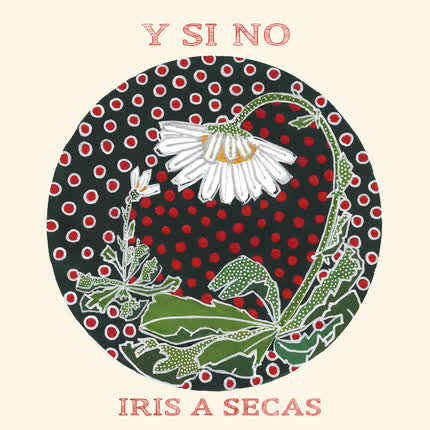 Carátula IRIS A SECAS - Y Si No