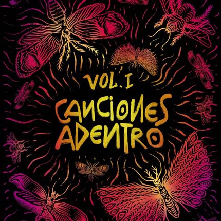 Carátula VARIOS ARTISTAS - Canciones Adentro, Vol. 1