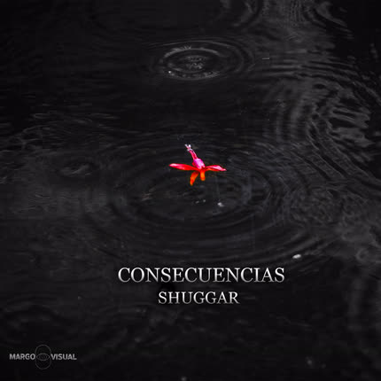 SHUGGAR - Consecuencias