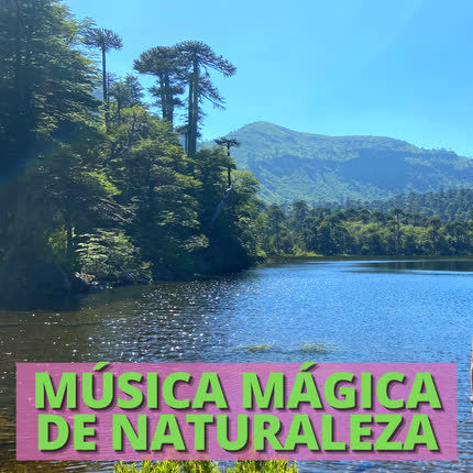 EDUARDO ORTIZ - Música Mágica de Naturaleza