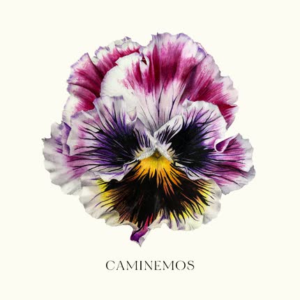 Carátula LA FLOR DEL RECUERDO - Caminemos