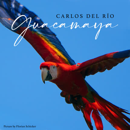 Carátula CARLOS DEL RIO - Guacamaya