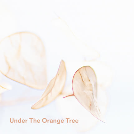 Carátula Under The Orange Tree