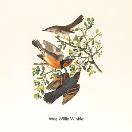 Carátula Wee Willie Winkie