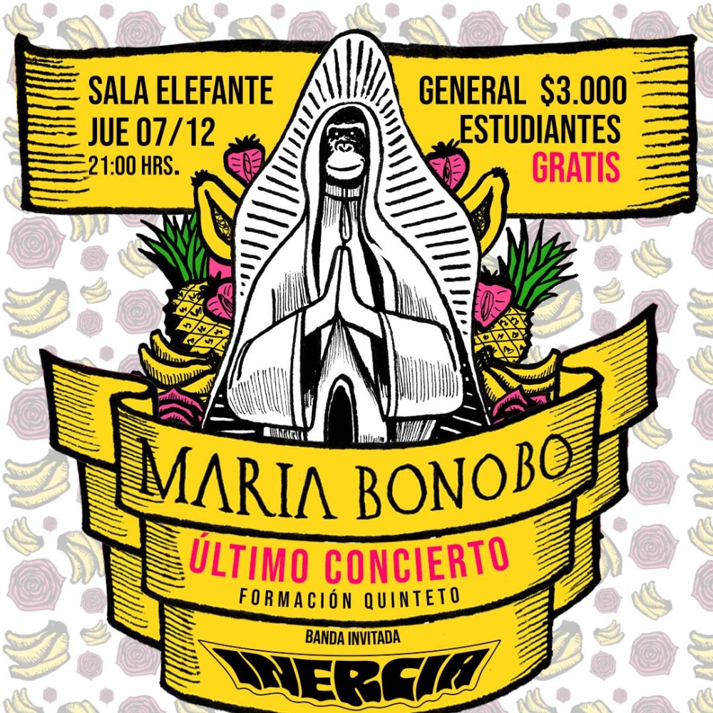 Flyer MARIA BONOBO - ÚLTIMO CONCIERTO - ESPACIO ELEFANTE